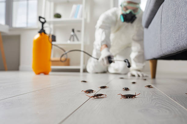 Commercial Kitchen Cockroach Control in Fredericktown